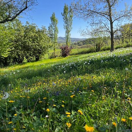 Bed and Breakfast Bergerie Montjustin Экстерьер фото