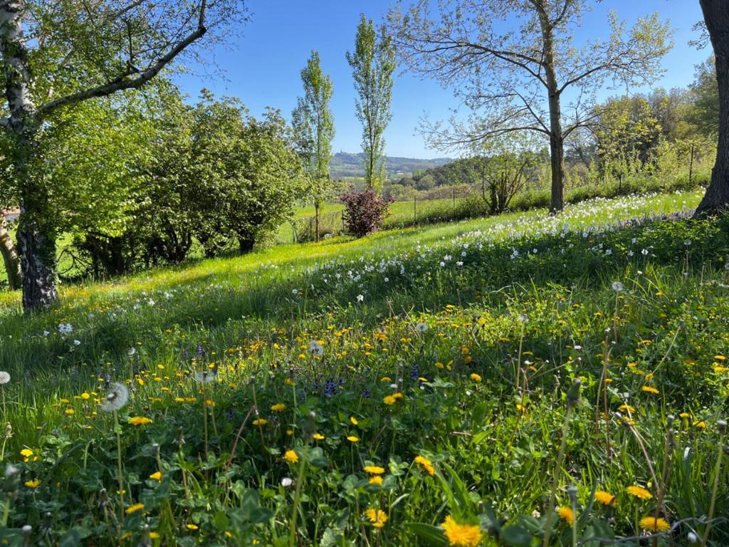 Bed and Breakfast Bergerie Montjustin Экстерьер фото